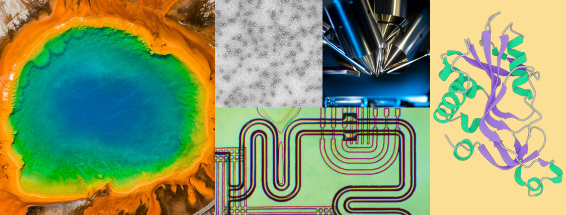 PROHITS Newsletter, Issue 1.